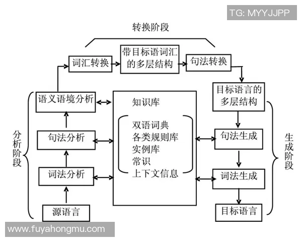 全球足球俱乐部管理模式创新探讨及其对竞技水平提升的影响分析