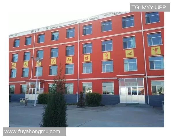 篮球巨星风云录:从街头少年到世界舞台的辉煌征程