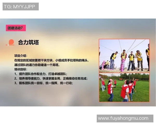 体育比赛中的团队合作与个人能力的完美结合探讨与分析